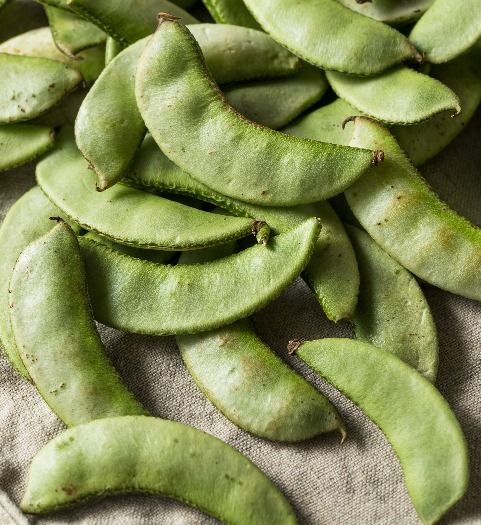 Organic Green Flat Beans (broad beans/ val papdi/ hyacinth beans) 
